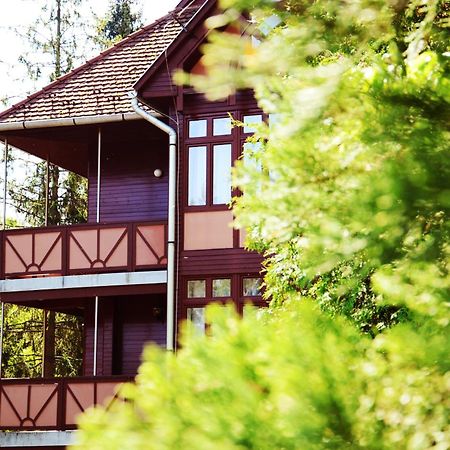 Ezuestfenyo Hotel Telkibánya Екстериор снимка