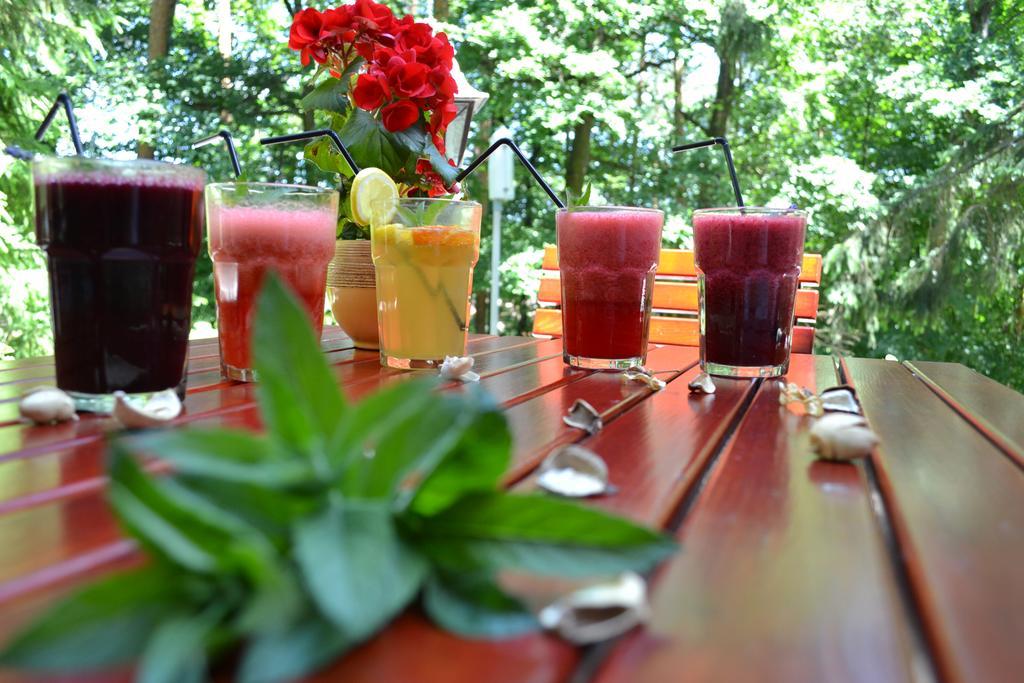 Ezuestfenyo Hotel Telkibánya Екстериор снимка