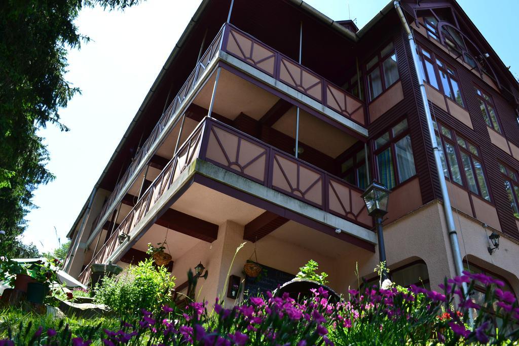 Ezuestfenyo Hotel Telkibánya Екстериор снимка