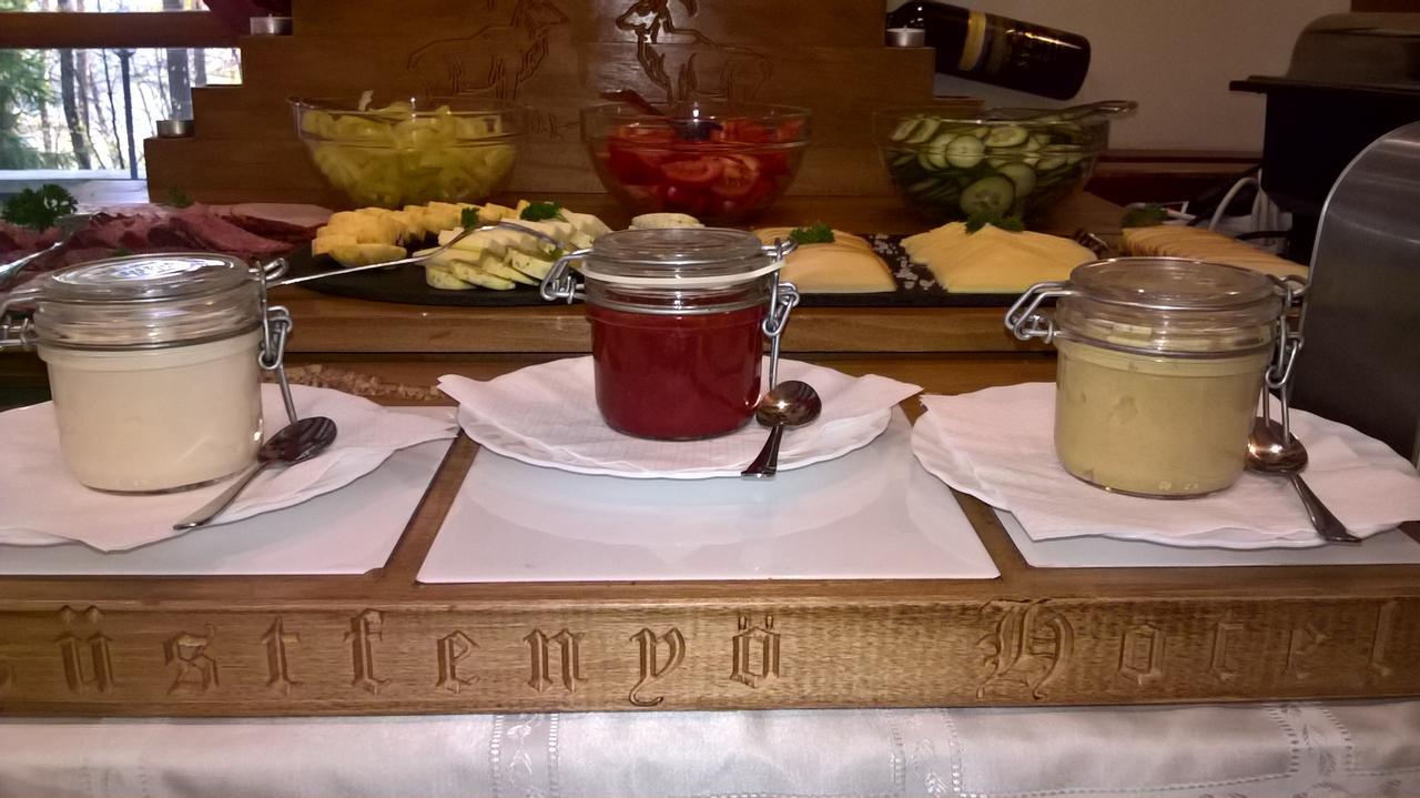 Ezuestfenyo Hotel Telkibánya Екстериор снимка