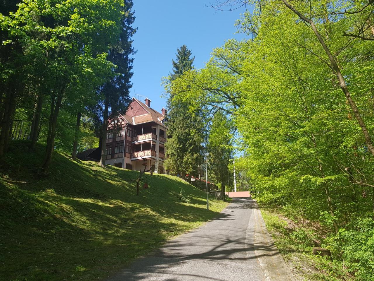 Ezuestfenyo Hotel Telkibánya Екстериор снимка